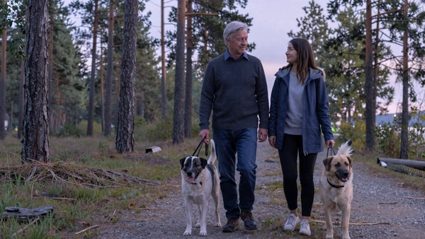 Veteran and their partner on a quiet morning forest walk with a service dog